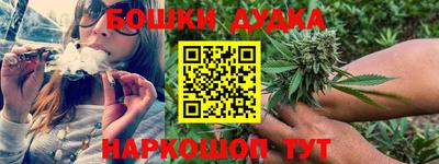 соль ск Новоалтайск